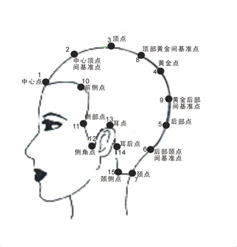 頭部七條基準線中的側中線，其中心點為